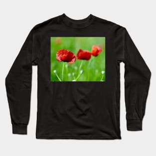 Poppies closeup with selective focus in a field Long Sleeve T-Shirt